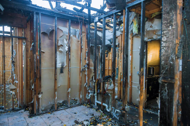 Professional Content Restoration technician working in Kingsford Heights, IN
